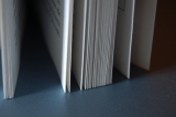 Les Éditions AURORÆ LIBRI